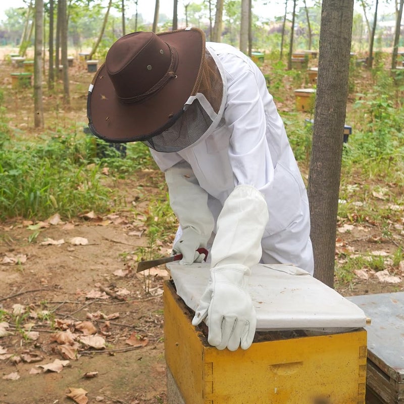 witbee Beekeeper Cowboy Hat with Veil, Beekeeping Veil Hat Beekeeping Protective Gear for Professional Beekeepers Bee Keeper Costume - Image 5